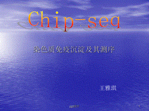 CHIP(1)-ppt课件.ppt