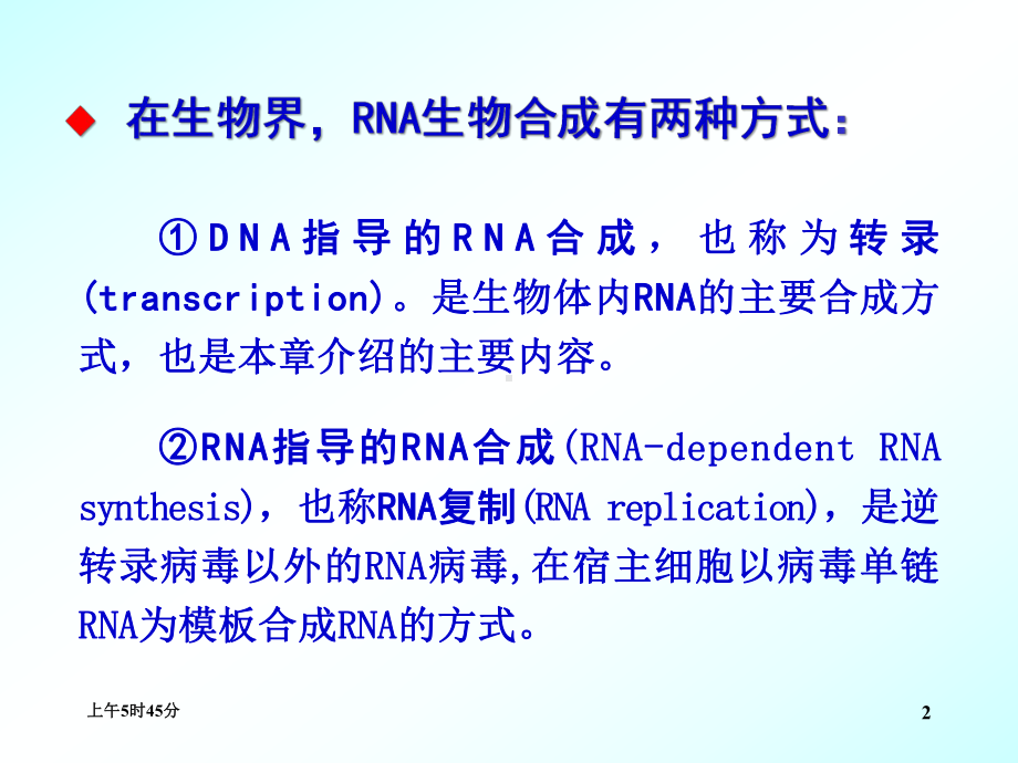 （生物化学教学课件）第13章 rna的生物合成(5-1, lmj2015).ppt_第2页