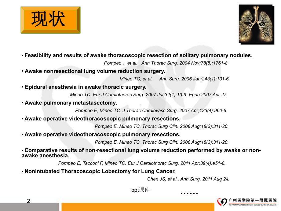 非插管胸科麻醉-ppt课件.ppt_第2页