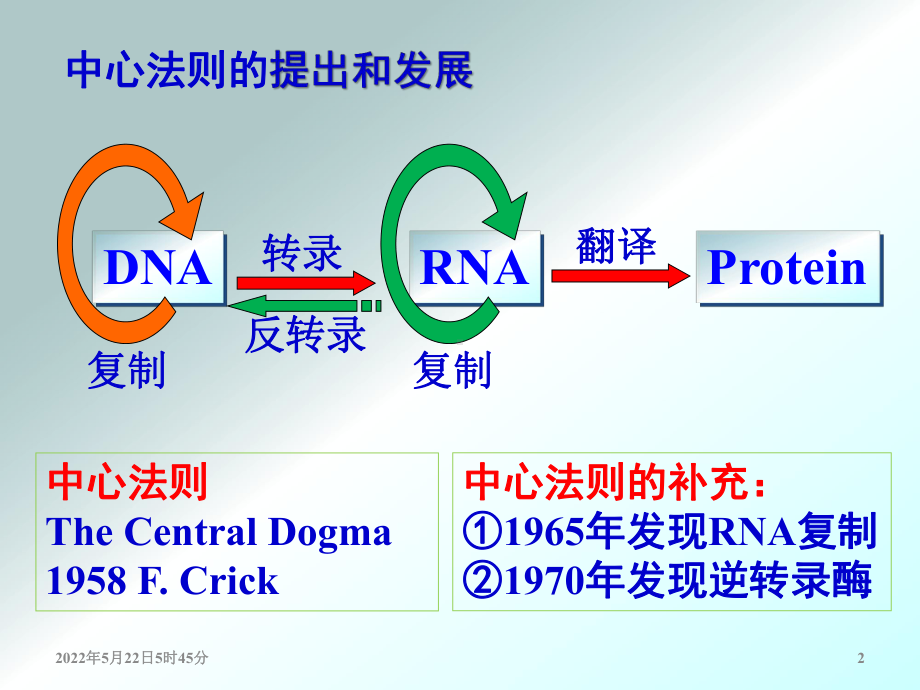 （生物化学教学课件）第12章 dna的生物合成(6-1, lmj2015).ppt_第2页