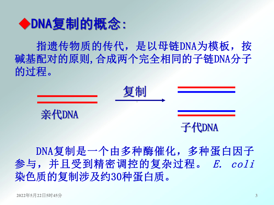 （生物化学教学课件）第12章 dna的生物合成(6-1, lmj2015).ppt_第3页