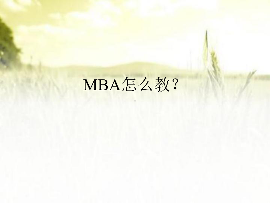 MBA营销课件(全套)-PPT.ppt_第2页