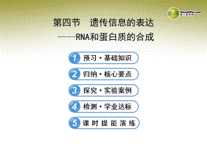 （学习方略）2013-2014高中生物 3.4遗传信息的表达RNA和蛋白质的合成课件 浙科版必修2.ppt