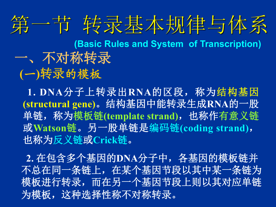 12.第十二章 RNA的生物合成(转录)-PPT课件.ppt_第3页