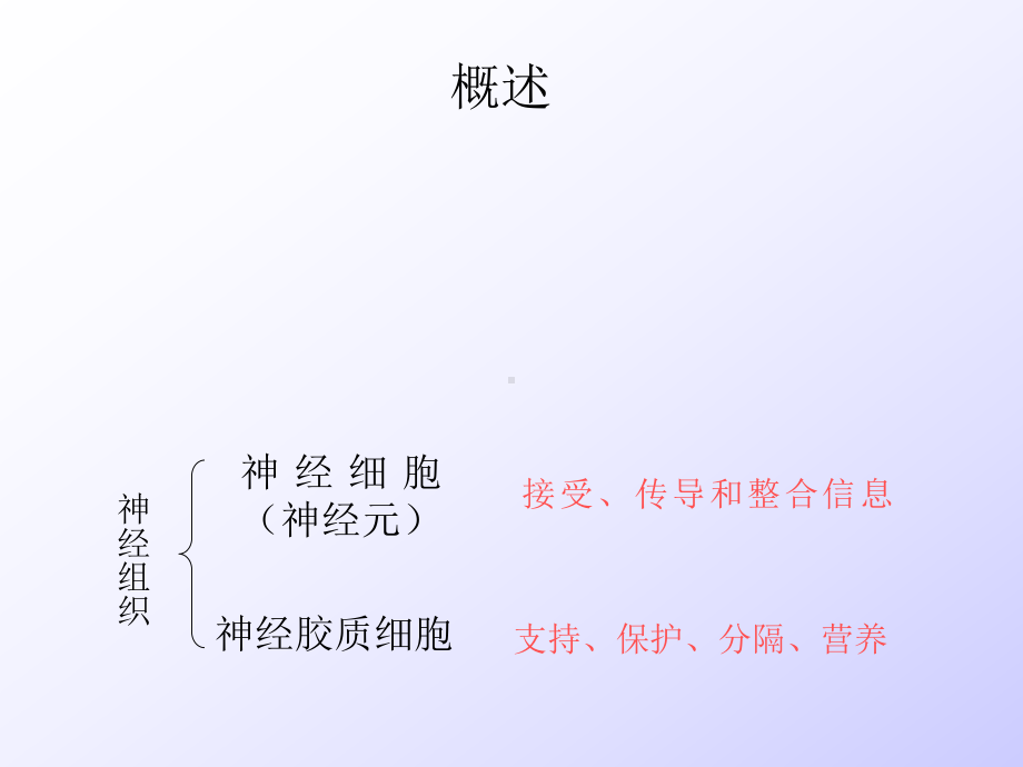 (胚胎学课件）神经组织.ppt_第2页