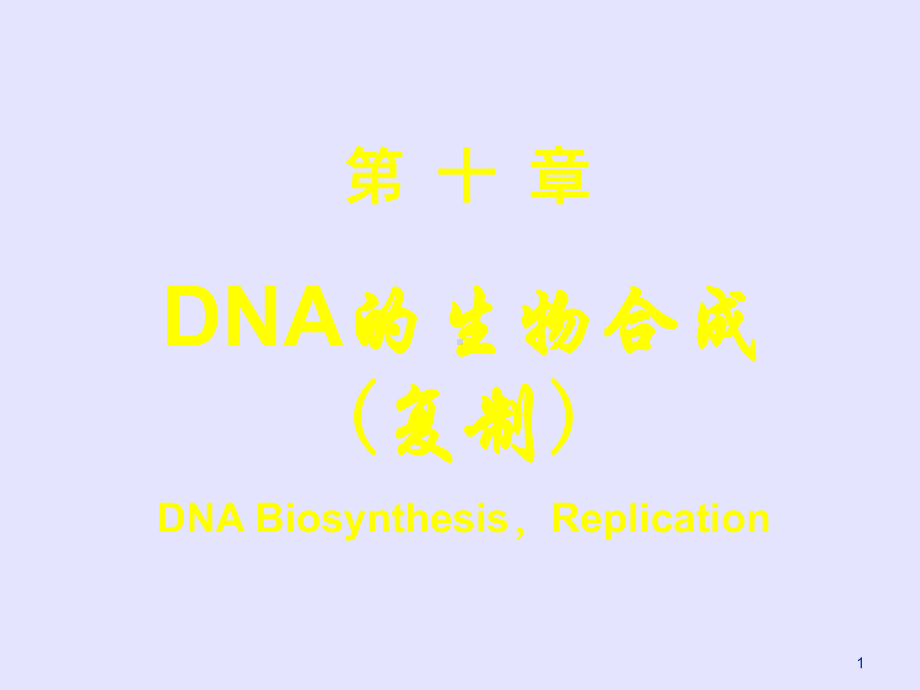 DNA的生物合成课件PPT.ppt_第1页