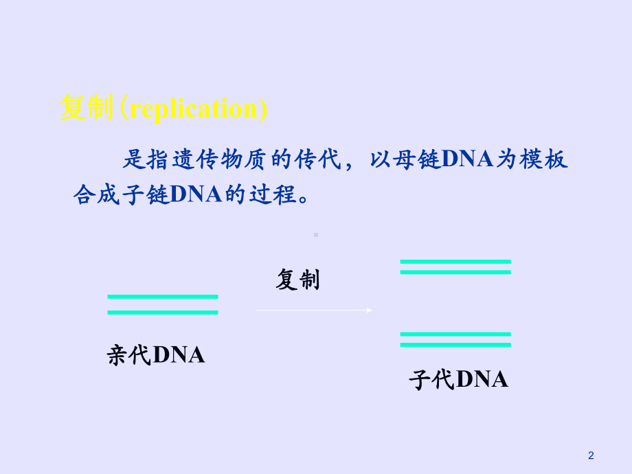 DNA的生物合成课件PPT.ppt_第2页