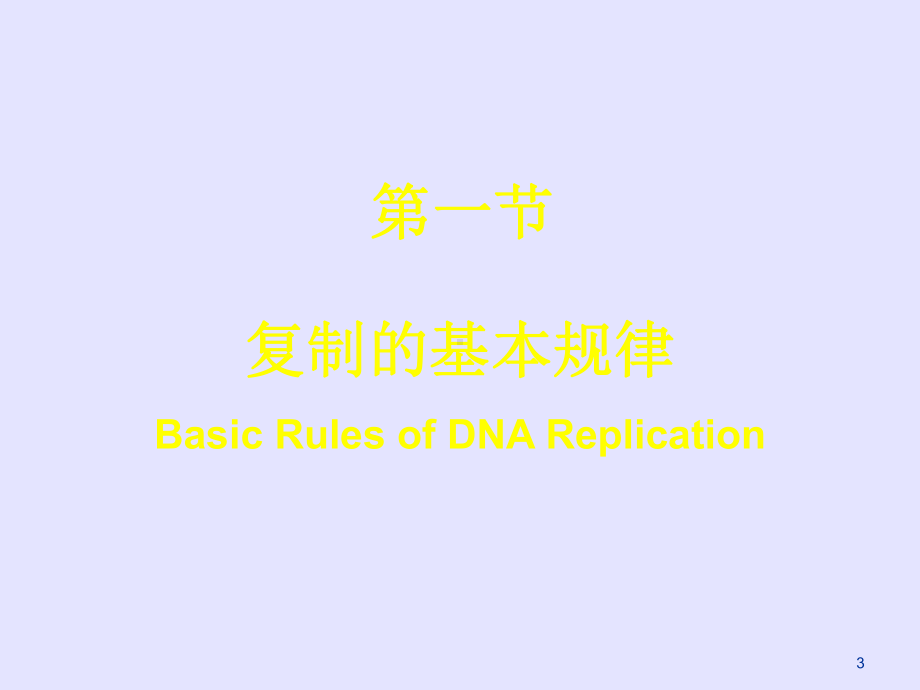 DNA的生物合成课件PPT.ppt_第3页