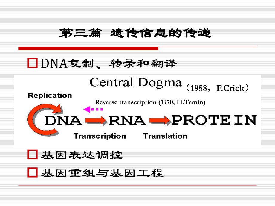 《生物化学教学课件》第十四章 dna的生物合成-刘皓.ppt_第2页