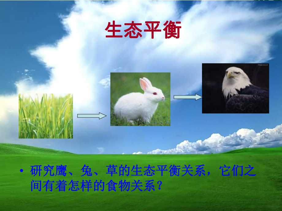 18维护生态平衡ppt课件讲解.ppt_第2页