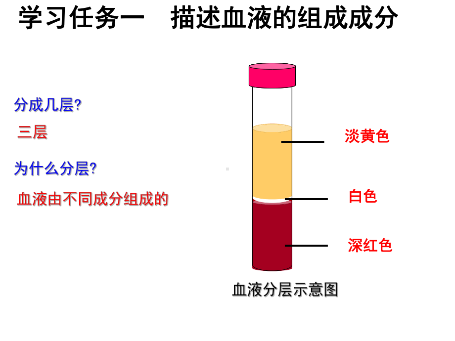 初中生物七年级下册《第一节流动的组织-血液》PPT课件(1).ppt_第3页