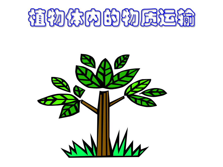 植物体内的物质运输PPT课件.ppt_第1页