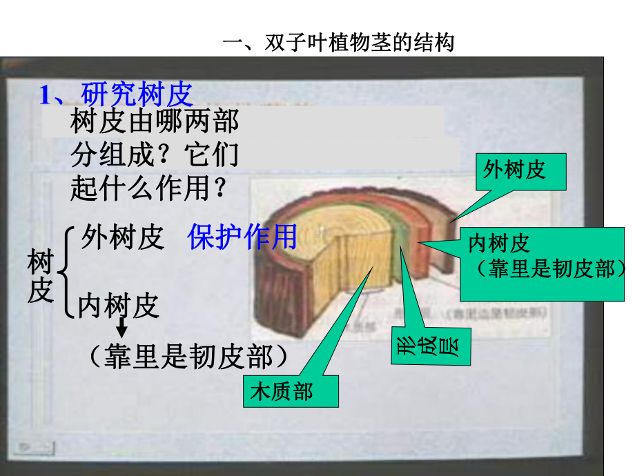 植物体内的物质运输PPT课件.ppt_第2页