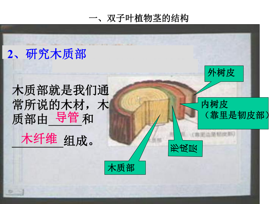 植物体内的物质运输PPT课件.ppt_第3页