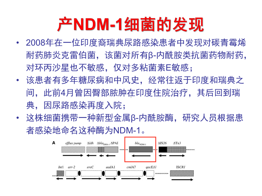 5、抗菌药物合理使用管理体系-PPT课件.ppt_第2页