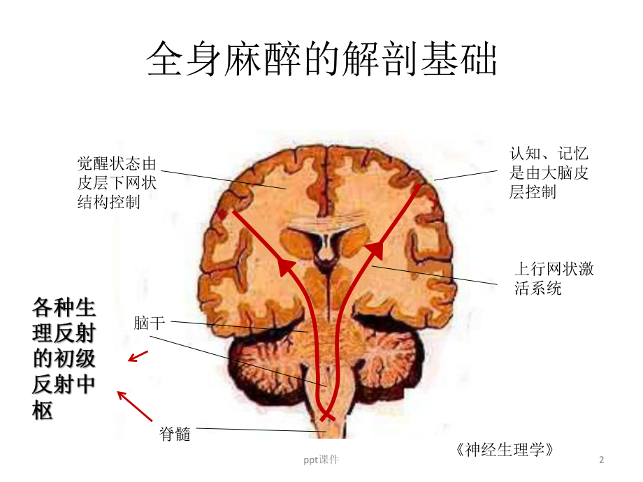 麻醉诱导的合理用药-ppt课件.ppt_第2页