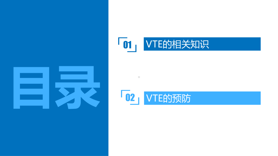 VTE的评估与预防-ppt课件.ppt_第2页