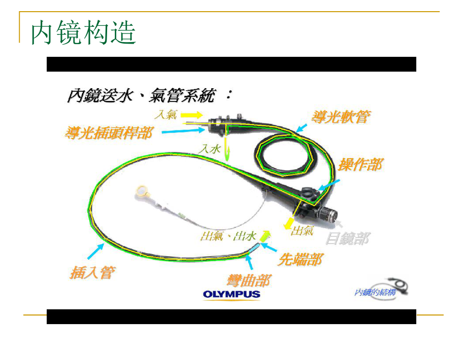 胃镜操作基础知识 ppt课件.ppt_第2页