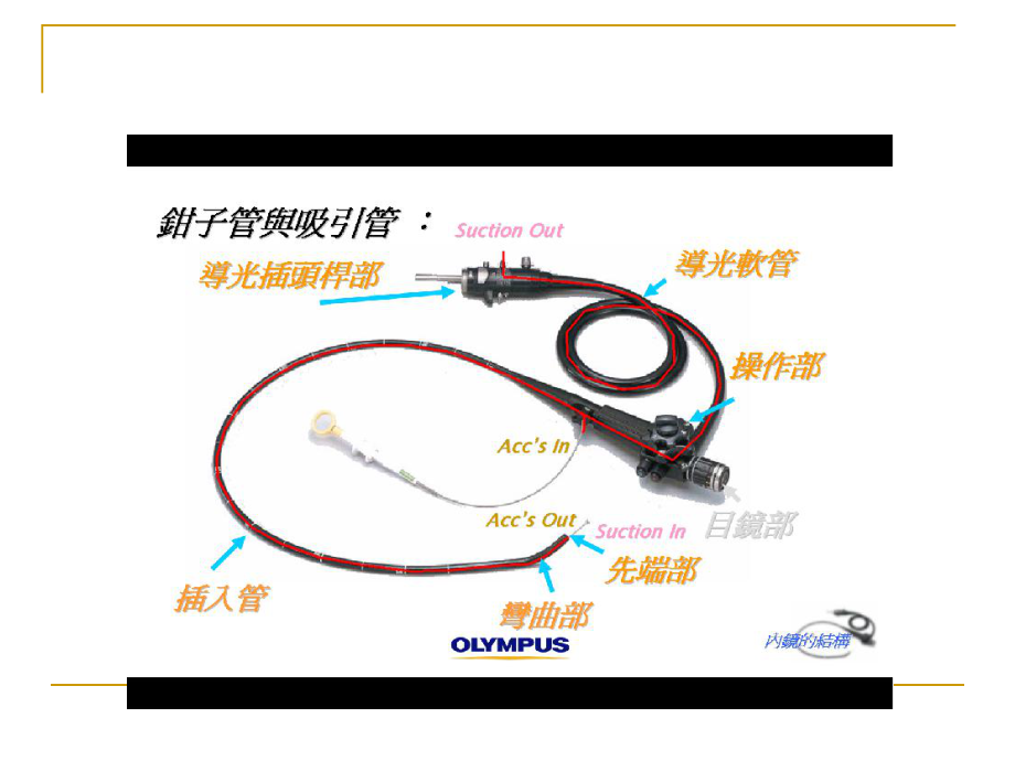 胃镜操作基础知识 ppt课件.ppt_第3页