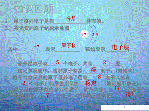 九年级化学上册《离子》离子的形成》ppt课件.ppt