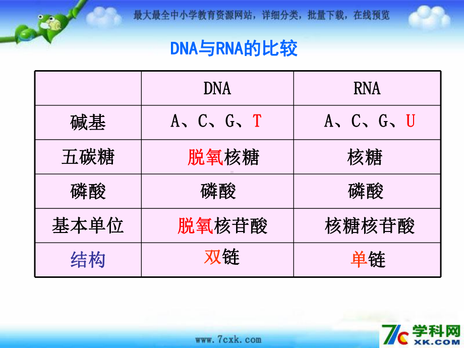 人教版生物必修二第1节《基因指导蛋白质的合成》ppt课件3.ppt_第3页