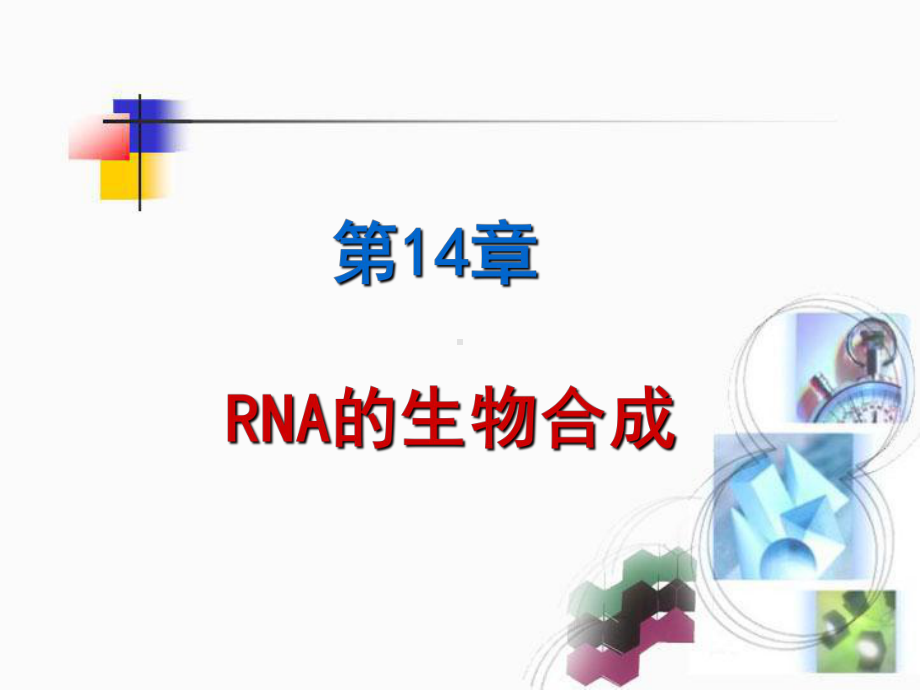 14-rna的生物合成（课件）.ppt_第1页