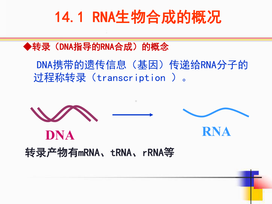 14-rna的生物合成（课件）.ppt_第2页