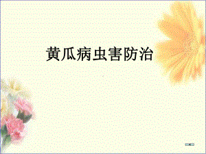 黄瓜病虫害防治-农艺师课件.ppt