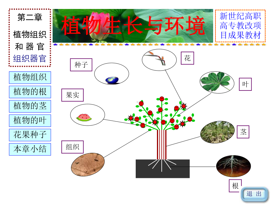 （农学课件）02 植物组织和器官1.ppt_第2页