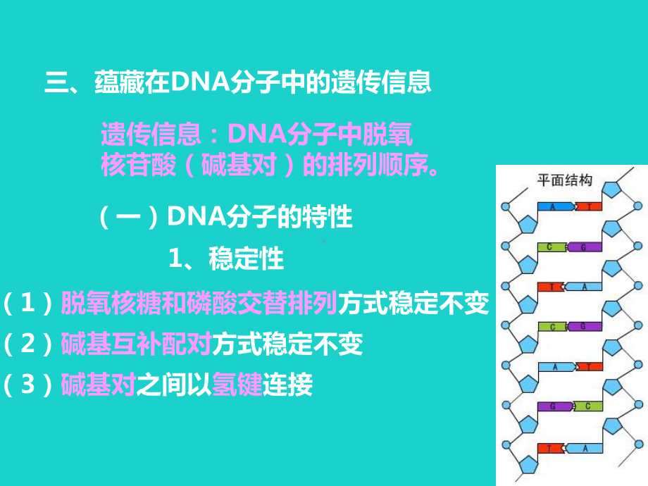 2017高中生物 第二册 第6章 遗传住处的传递和表达 6.2 DNA复制和蛋白质合成课件4 沪科版.ppt_第1页