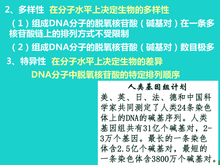 2017高中生物 第二册 第6章 遗传住处的传递和表达 6.2 DNA复制和蛋白质合成课件4 沪科版.ppt_第2页