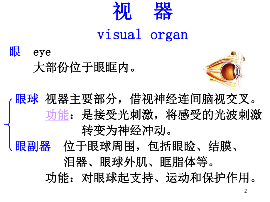 视器PPT课件.ppt_第2页