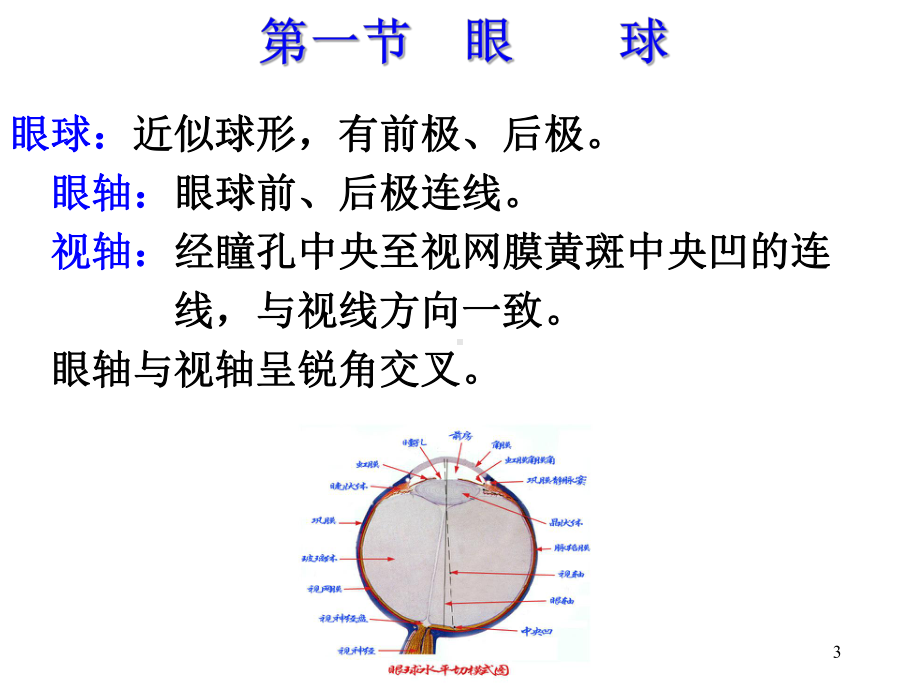 视器PPT课件.ppt_第3页