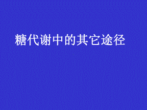 生物化学课件PPT（生物技术类）之糖代谢中的其它途径.ppt