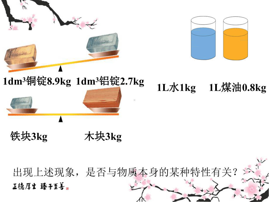 新北师大版八年级上册物理名校课件：2.3-学生实验：探究-物质的密度(共28张PPT).ppt_第3页