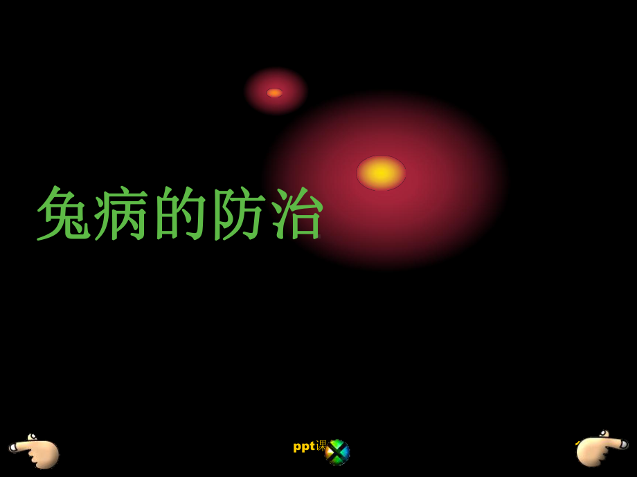 兔病的防治ppt课件.ppt_第1页