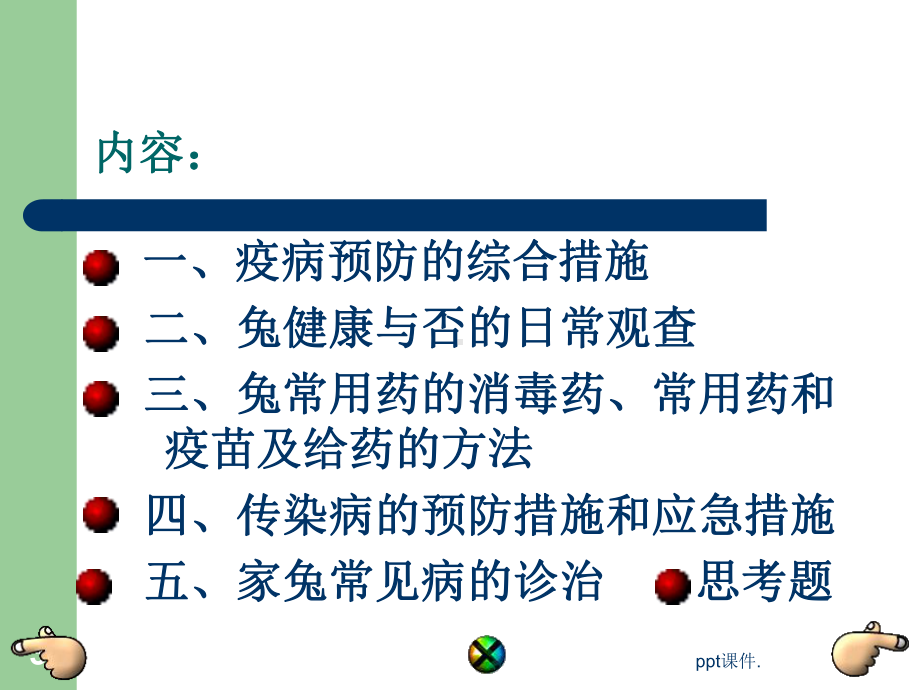 兔病的防治ppt课件.ppt_第3页