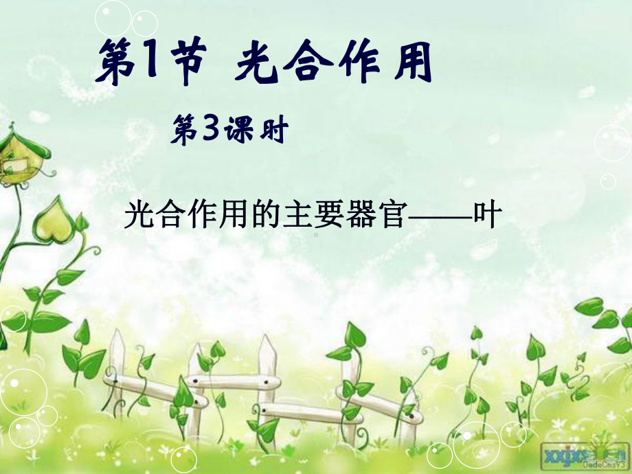 叶片的结构PPT课件.ppt_第1页