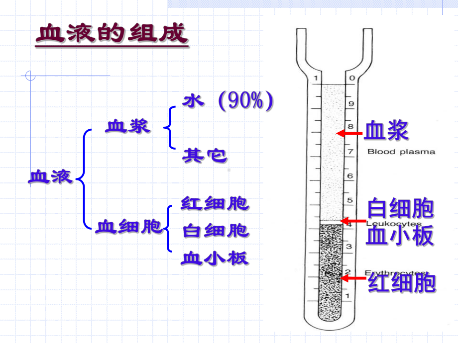 组织胚胎学 教案 课件 (4)（PPT）.ppt_第1页