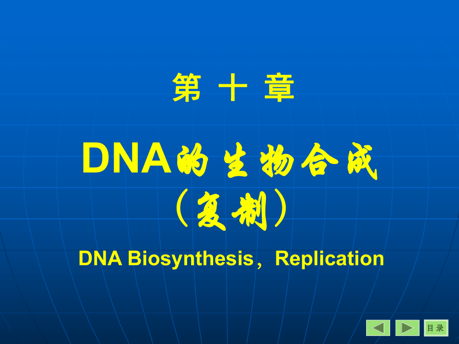 （生物课件）第10章DNA的生物合成（复制）.ppt_第1页