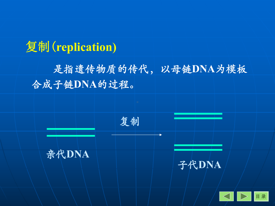 （生物课件）第10章DNA的生物合成（复制）.ppt_第2页