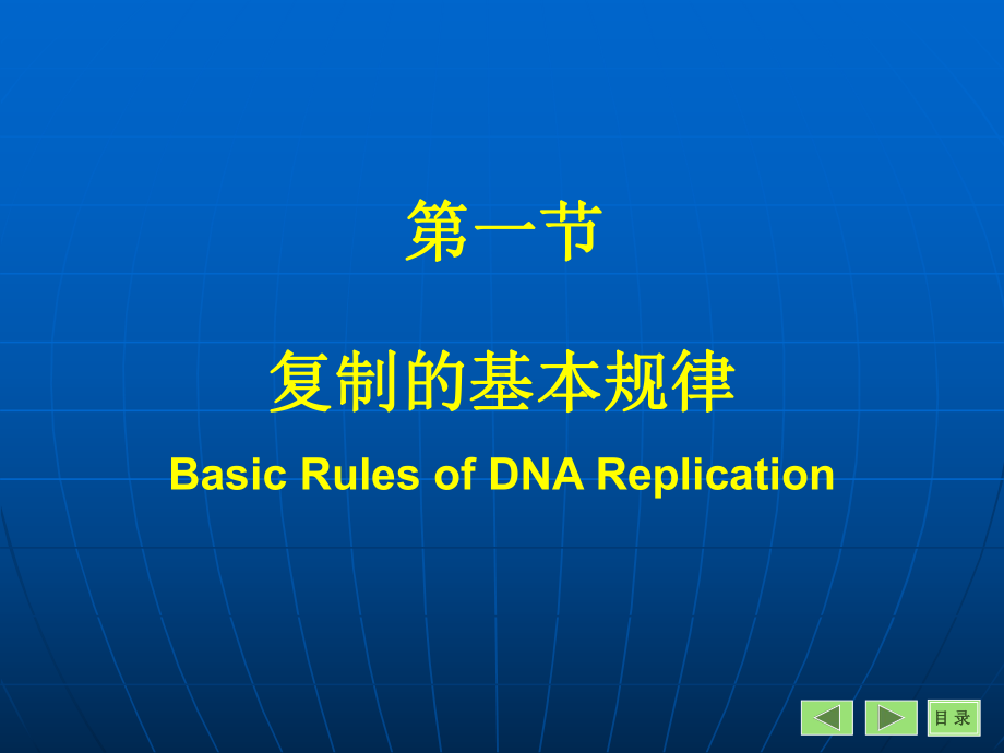 （生物课件）第10章DNA的生物合成（复制）.ppt_第3页