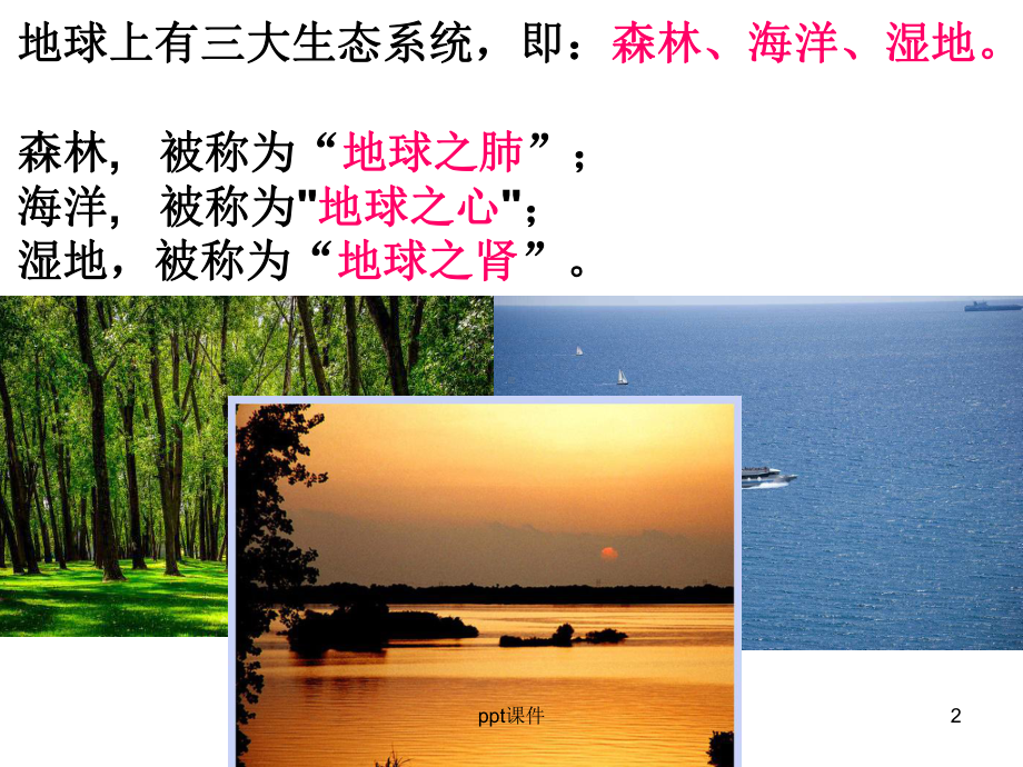 湘教版-湿地资源的开发与保护-ppt课件.ppt_第2页