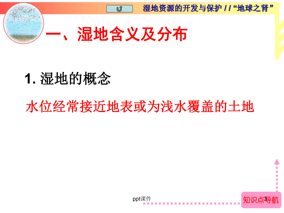 湘教版-湿地资源的开发与保护-ppt课件.ppt_第3页