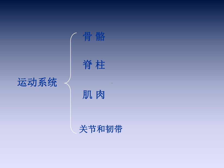 运动系统课件PPT.ppt_第3页