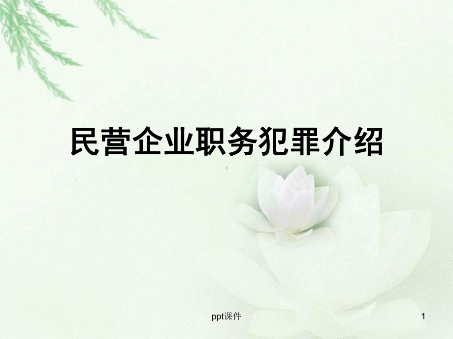 民营企业职务犯罪介绍-ppt课件.ppt_第1页