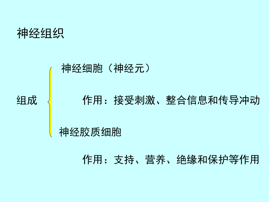 组织胚胎学课件 11 神经组织.ppt_第2页