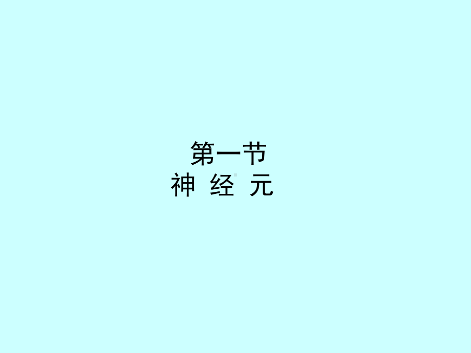 组织胚胎学课件 11 神经组织.ppt_第3页