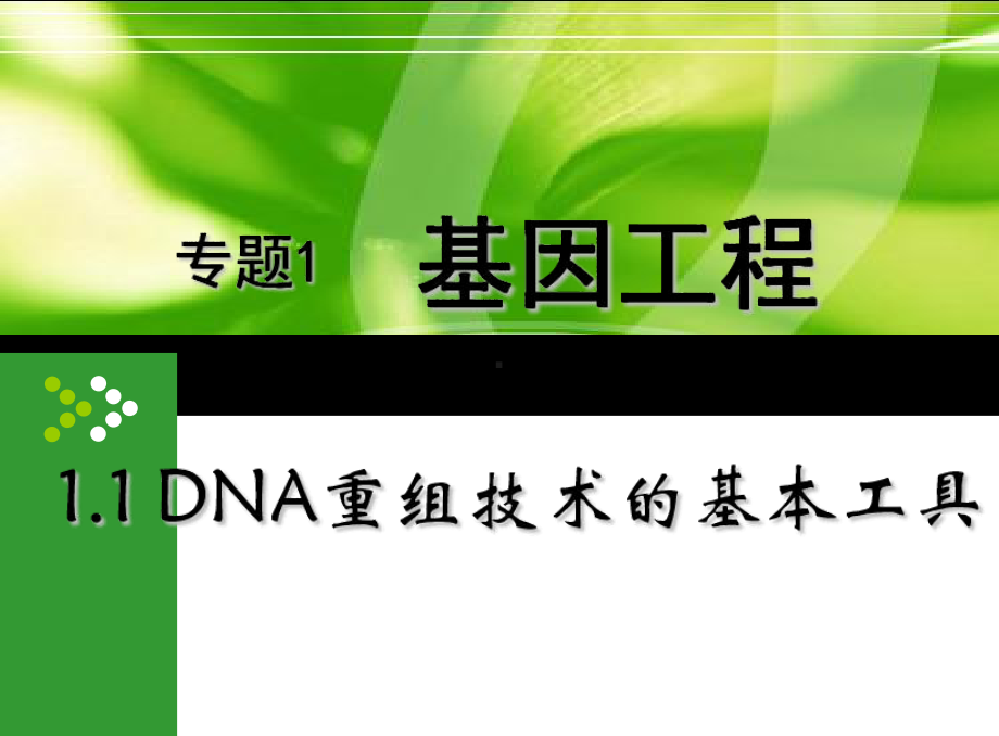 DNA重组技术的基本工具PPT课件.ppt_第1页