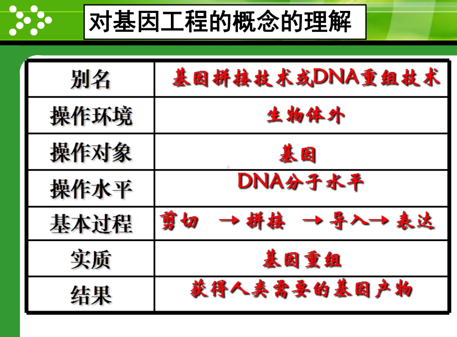 DNA重组技术的基本工具PPT课件.ppt_第3页